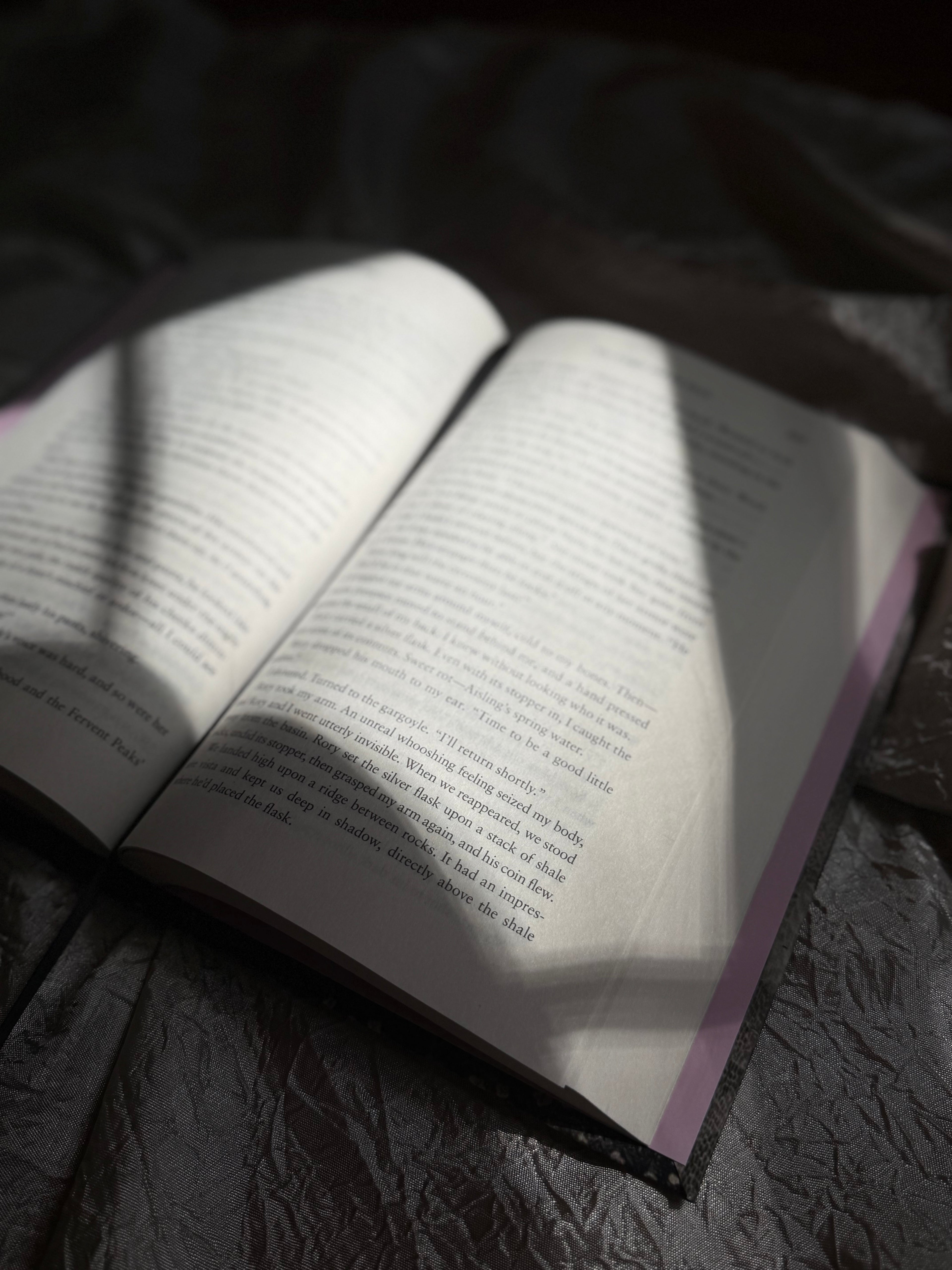 THE KNIGHT AND THE MOTH BY RACHEL GILLIG