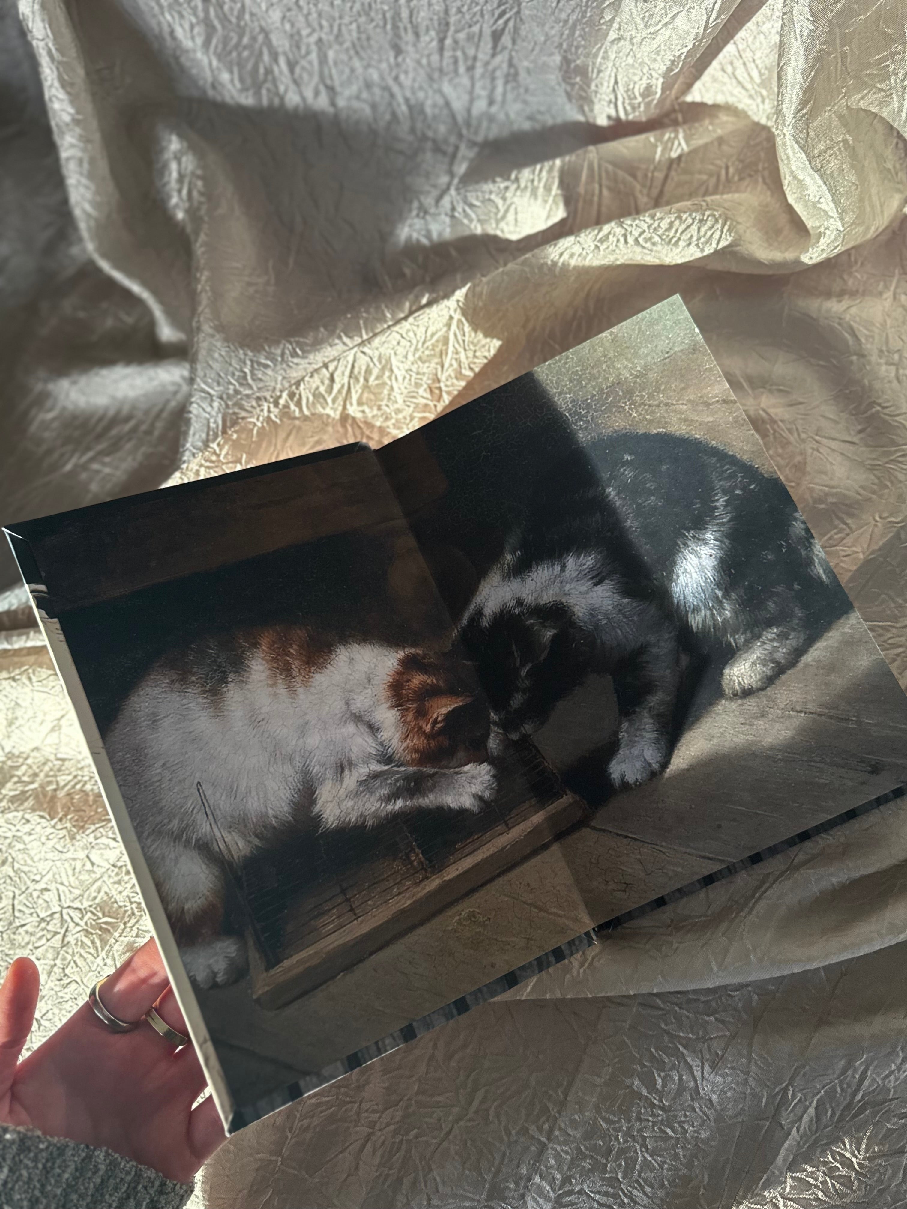 LIGHTS OUT BY NAVESSA ALLEN