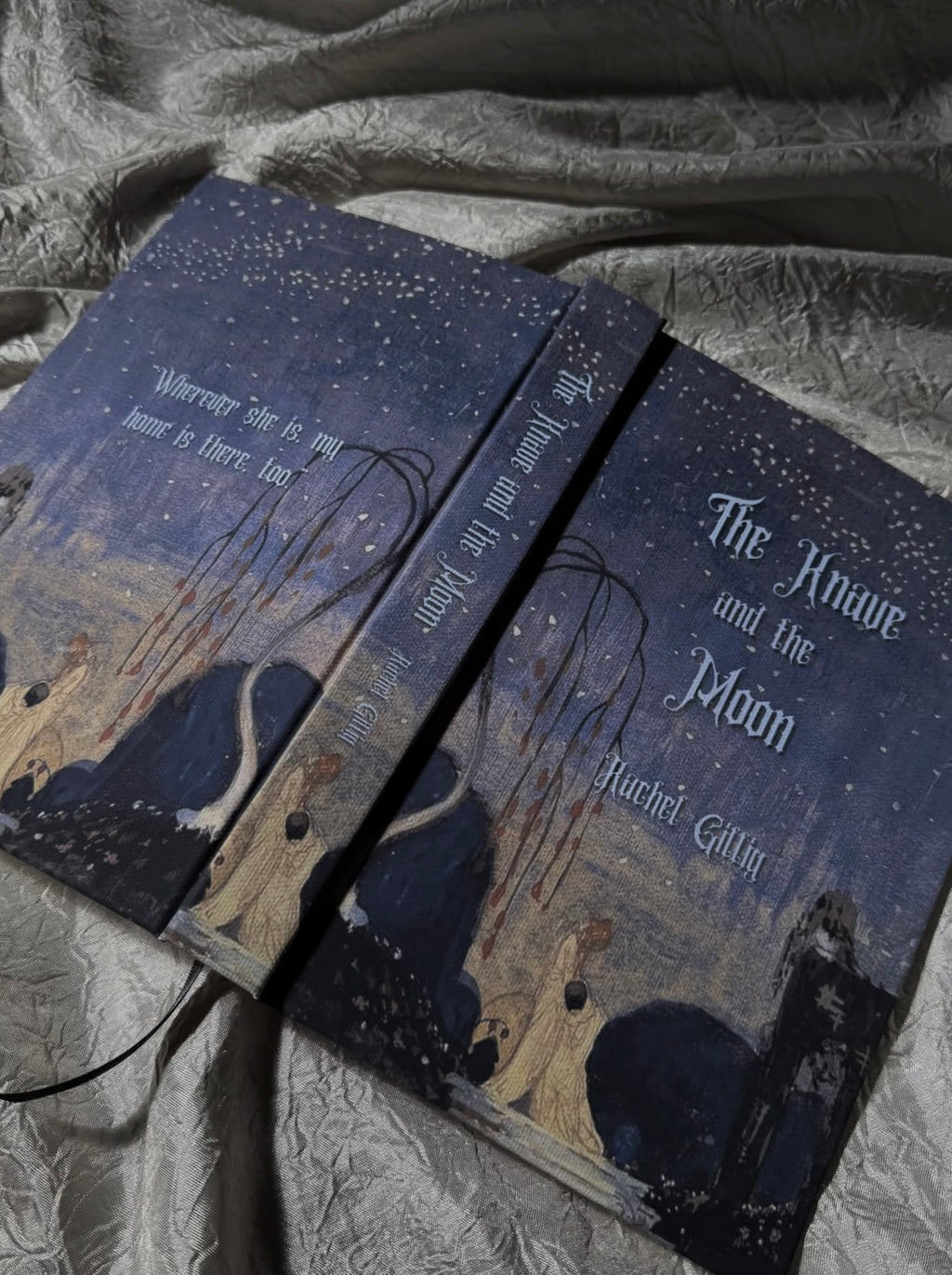 THE STONEWATER KINGDOM DUOLOGY BY RACHEL GILLIG
