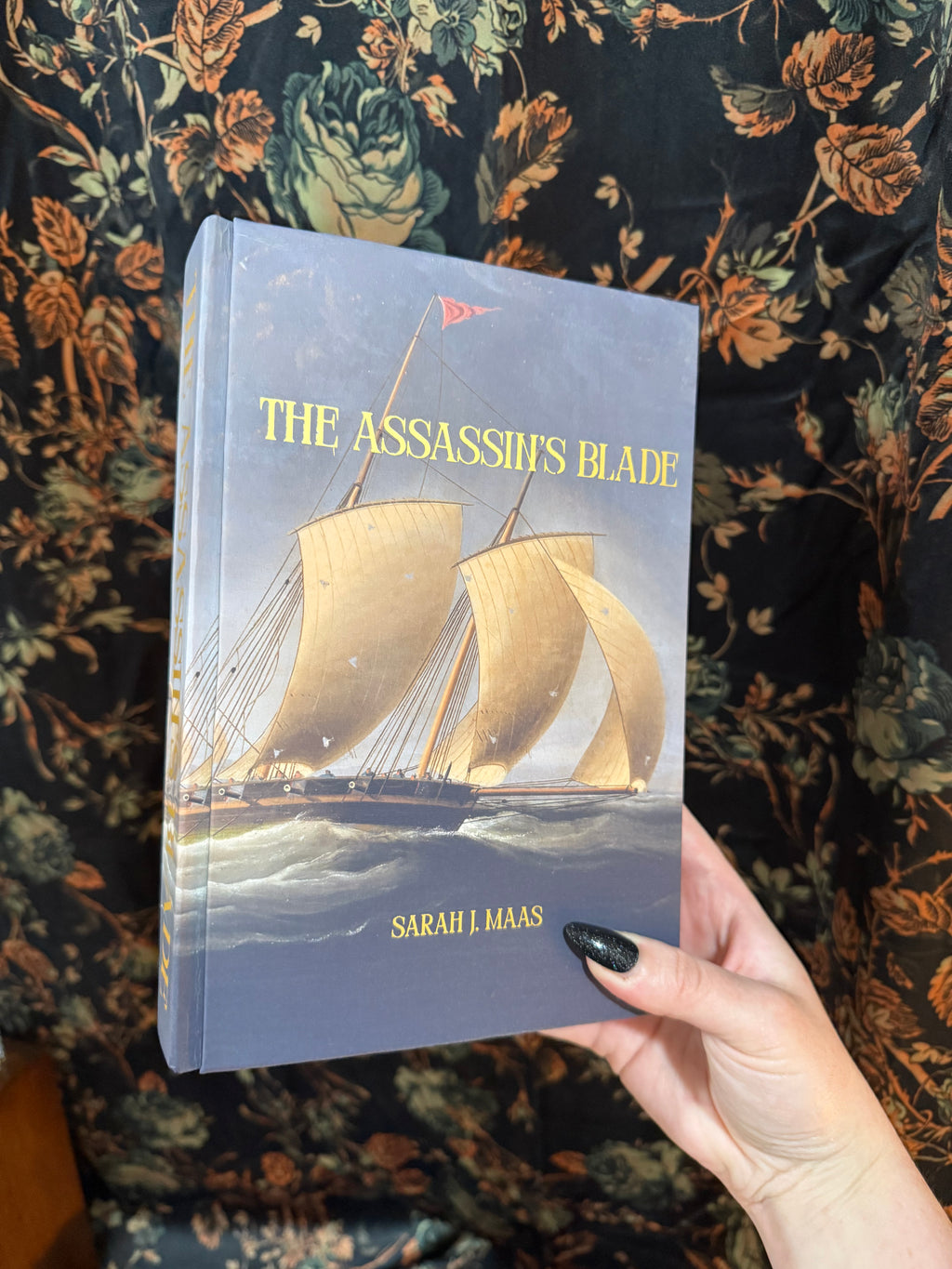 THE ASSASSIN’S BLADE - DISCOUNTED