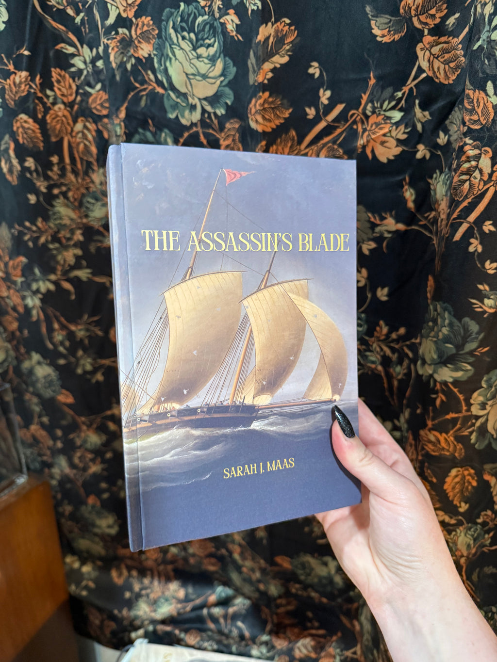 THE ASSASSIN’S BLADE - DISCOUNTED